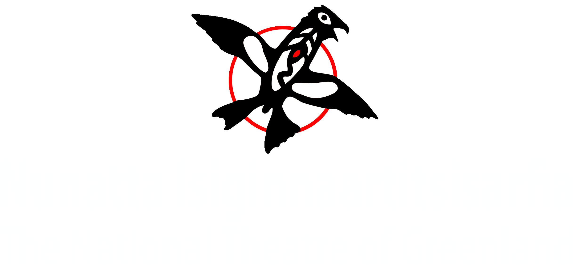 Nuis Logo Hvid Footer2